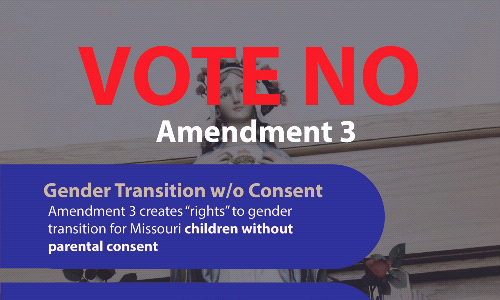 Vote No on Amendment 3