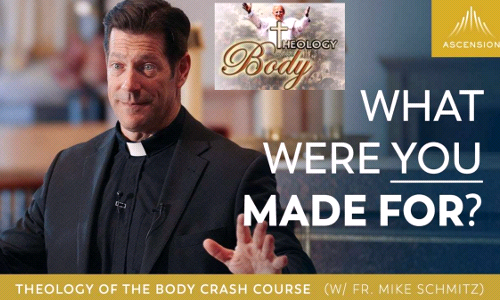 Theology of the Body w/ Fr. Mike Schmitz